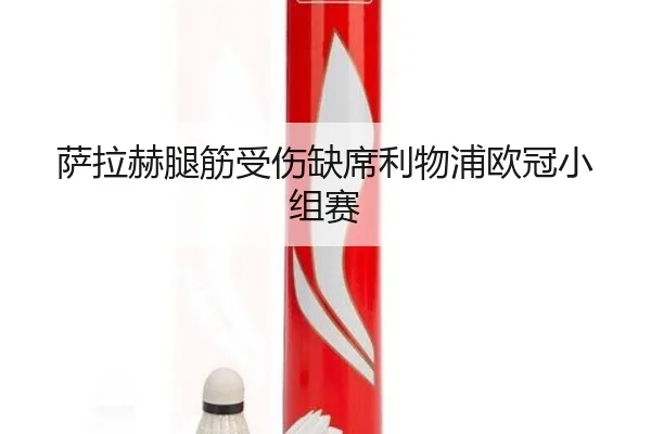 sa-la-he-tui-jin-shou-shang-que-xi-li-wu-pu-ou-guan-xiao-zu-sai-2-804.jpg